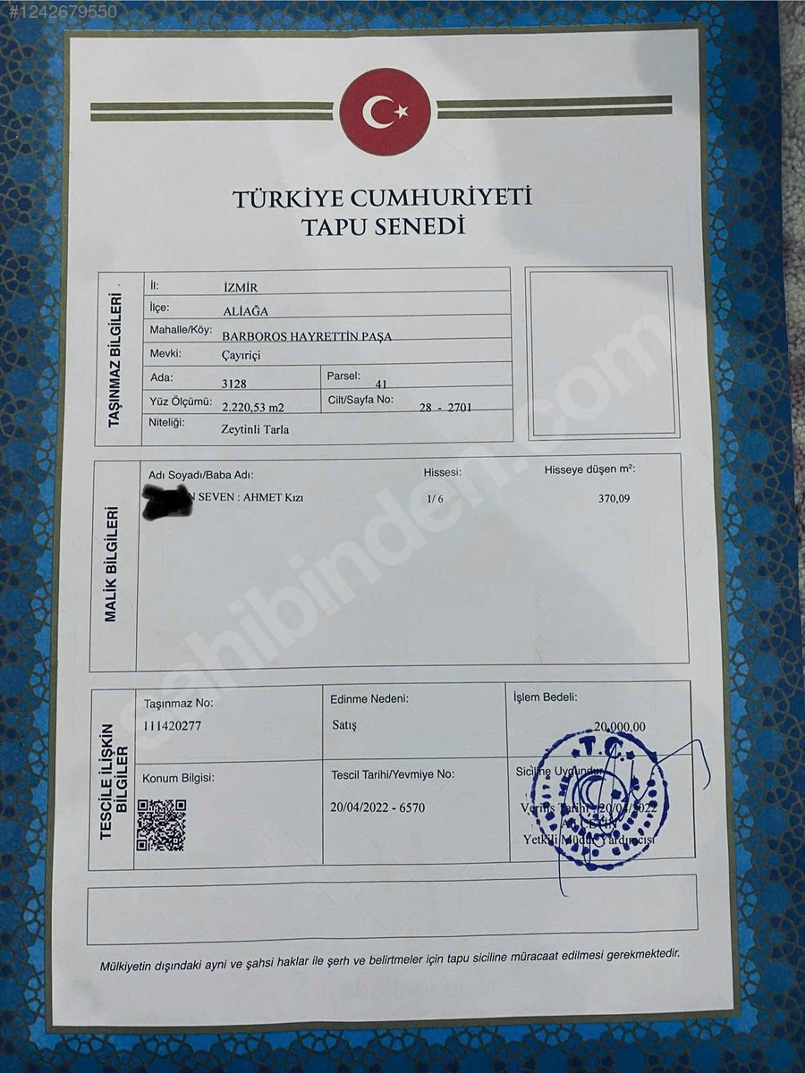 İZMİR ALİAĞA BARBAROS HAYRETTİN PAŞA  KÖYÜ’NDE ZEYTİNLİK TARLA’NIN 370 M² ‘Sİ SA - İZMİR ALİAĞA fotoğraf 4
